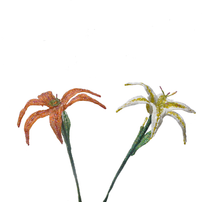 Lily