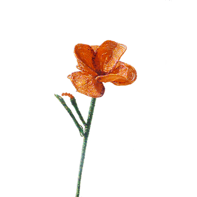 Iris Orange