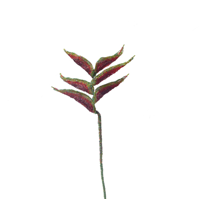 Heliconia red